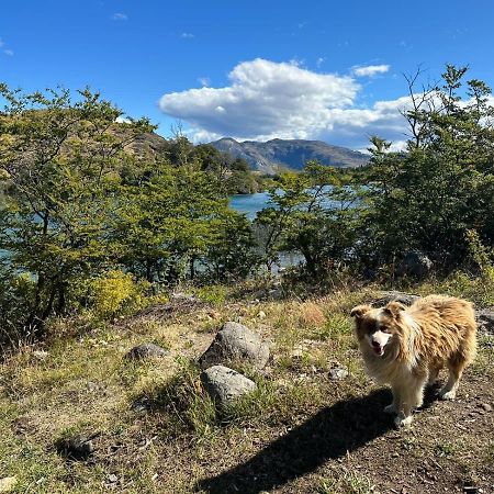 Appartamento Turismo Y Cabanas Chulengo Cochrane Esterno foto