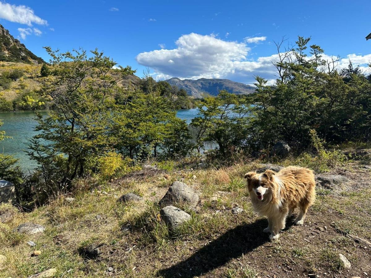 Appartamento Turismo Y Cabanas Chulengo Cochrane Esterno foto